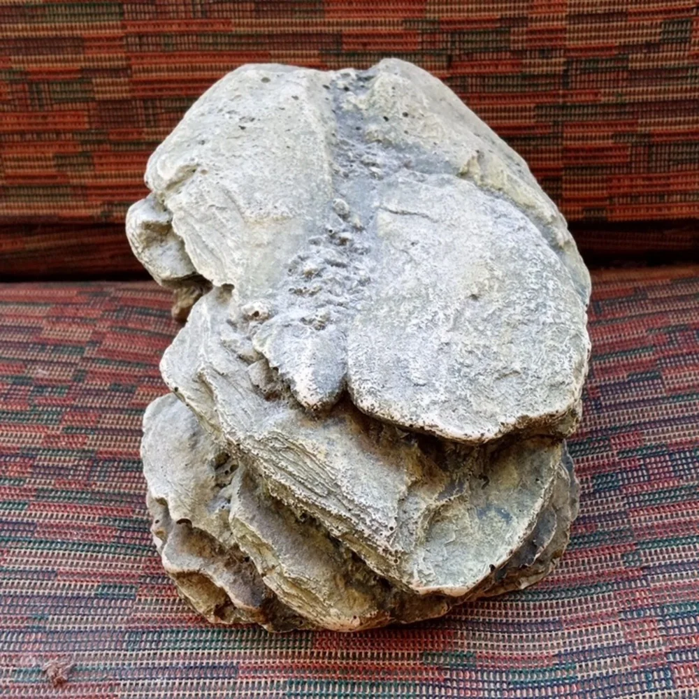 TOP FIN Rock Cave Fish Aquarium Hide & Decor.